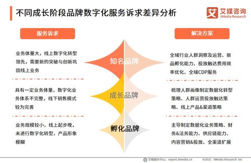 信息技術(shù)咨詢服務(wù)賦能品牌電商服務(wù)商 2021年行業(yè)洞察與發(fā)展趨勢(shì)