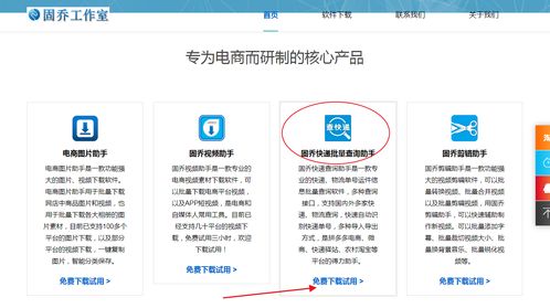 教你批量查詢快遞物流信息，一眼發(fā)現(xiàn)異常件——信息技術(shù)咨詢服務(wù)指南